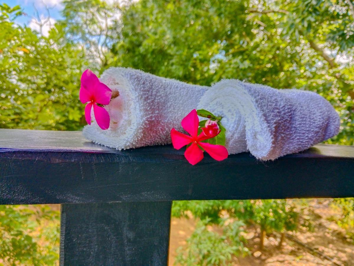 Ceylon Amigos Eco Resort สิกิริยา ภายนอก รูปภาพ