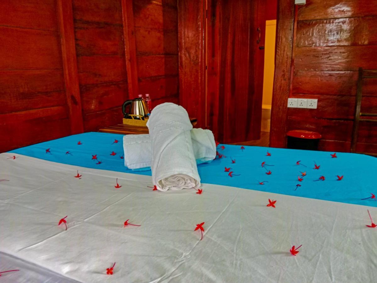 Ceylon Amigos Eco Resort สิกิริยา ภายนอก รูปภาพ