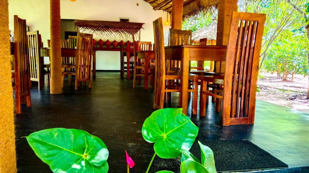 Ceylon Amigos Eco Resort สิกิริยา ภายนอก รูปภาพ