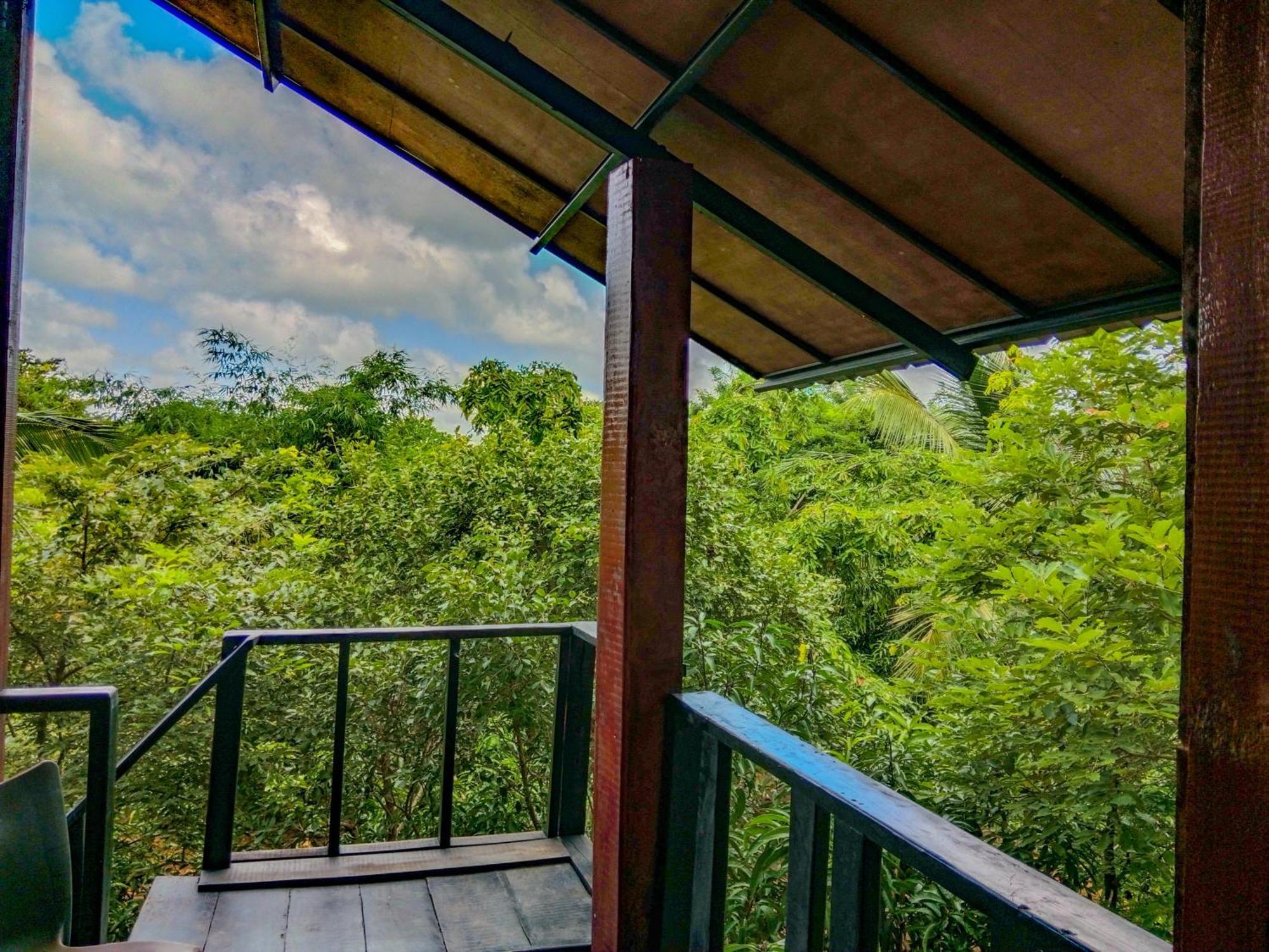 Ceylon Amigos Eco Resort สิกิริยา ภายนอก รูปภาพ
