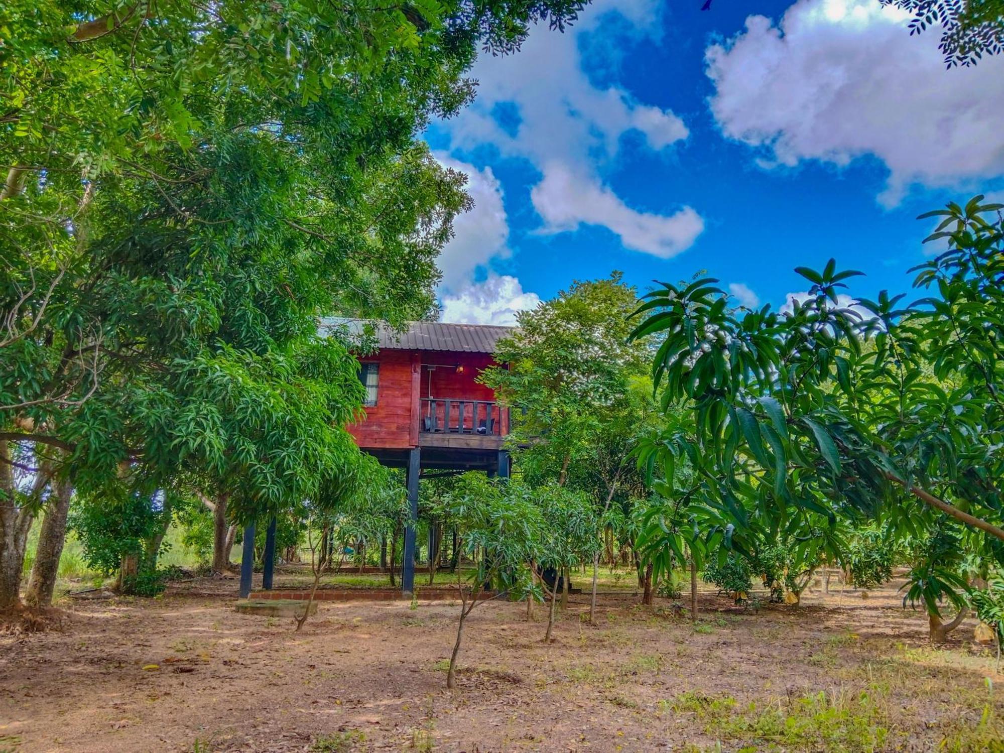Ceylon Amigos Eco Resort สิกิริยา ภายนอก รูปภาพ
