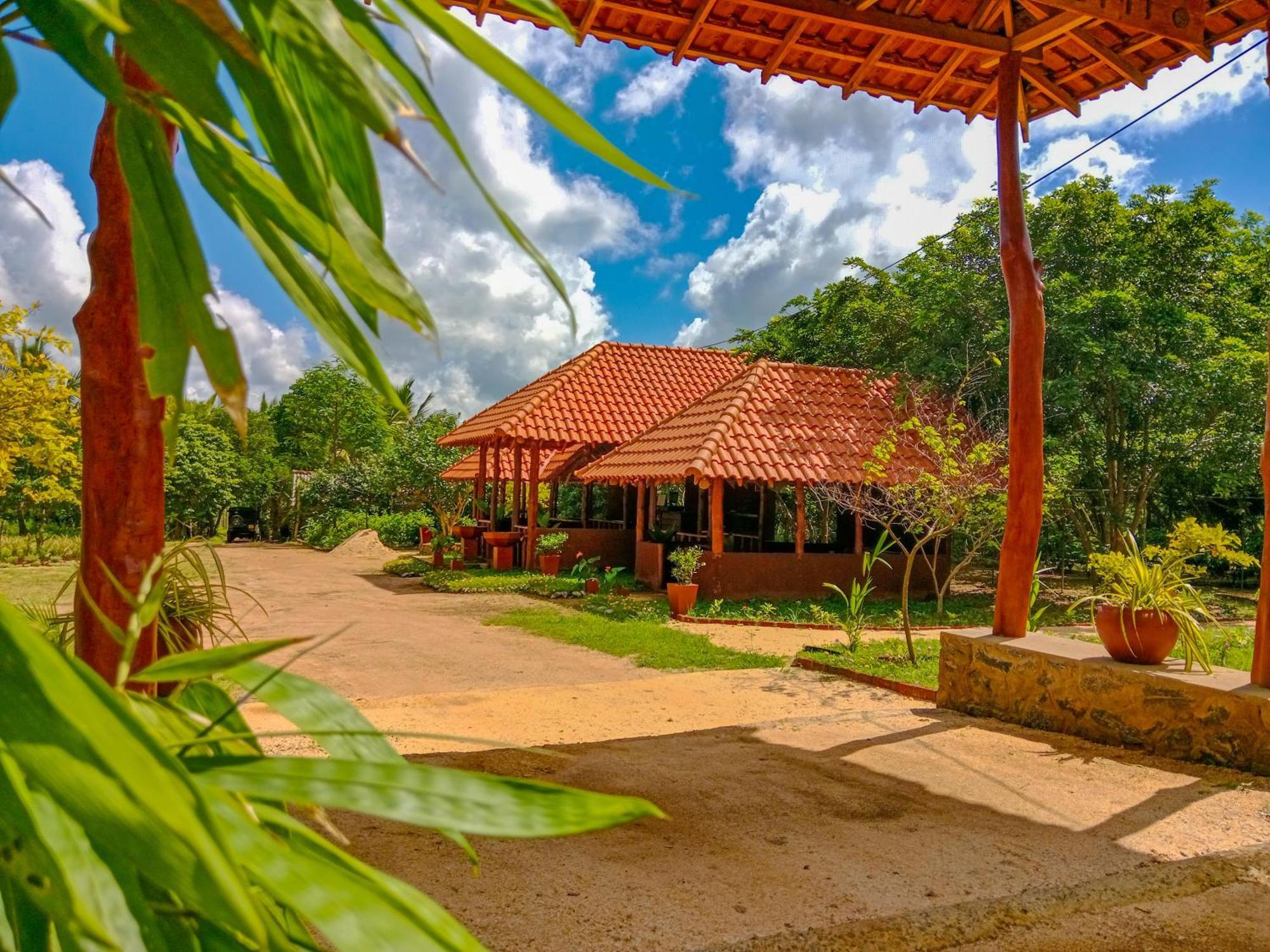 Ceylon Amigos Eco Resort สิกิริยา ภายนอก รูปภาพ