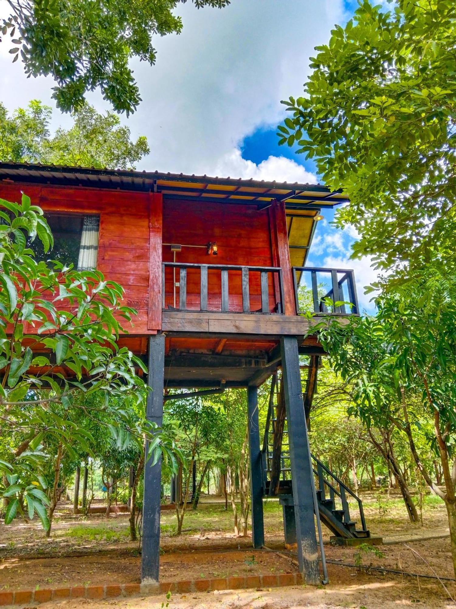 Ceylon Amigos Eco Resort สิกิริยา ภายนอก รูปภาพ
