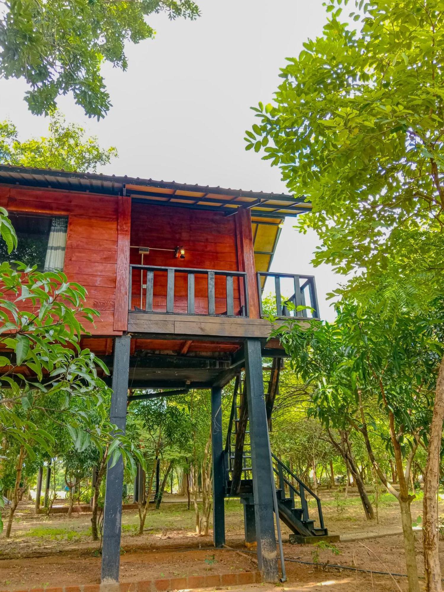 Ceylon Amigos Eco Resort สิกิริยา ภายนอก รูปภาพ