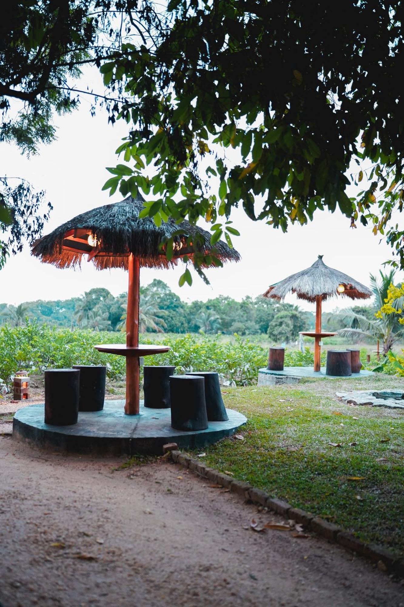 Ceylon Amigos Eco Resort สิกิริยา ภายนอก รูปภาพ